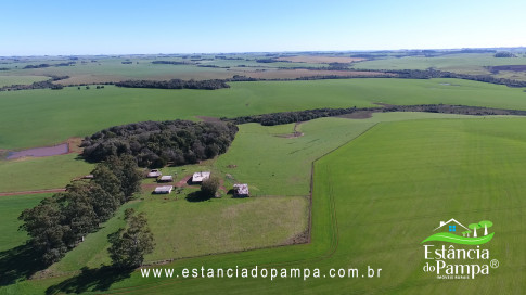 VAI DA BR PARA A FAZENDA.00_02_25_29.Quadro024_9a9facebb5ae9db98662f803e134c44d2f511b16.jpg